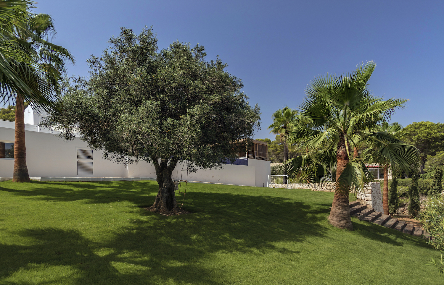 Villa Amazonia
