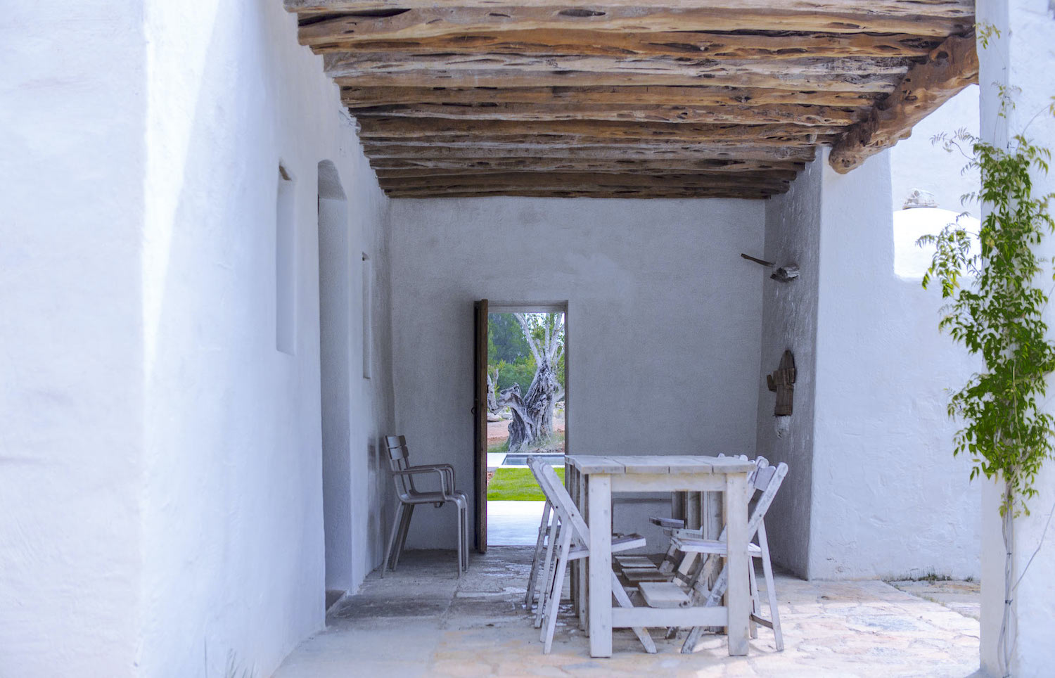 Finca Serene